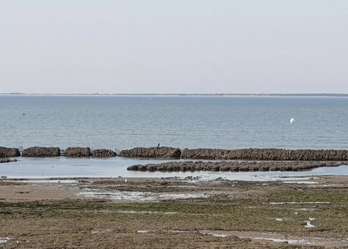 Vakantiehuis L'air Marin 2